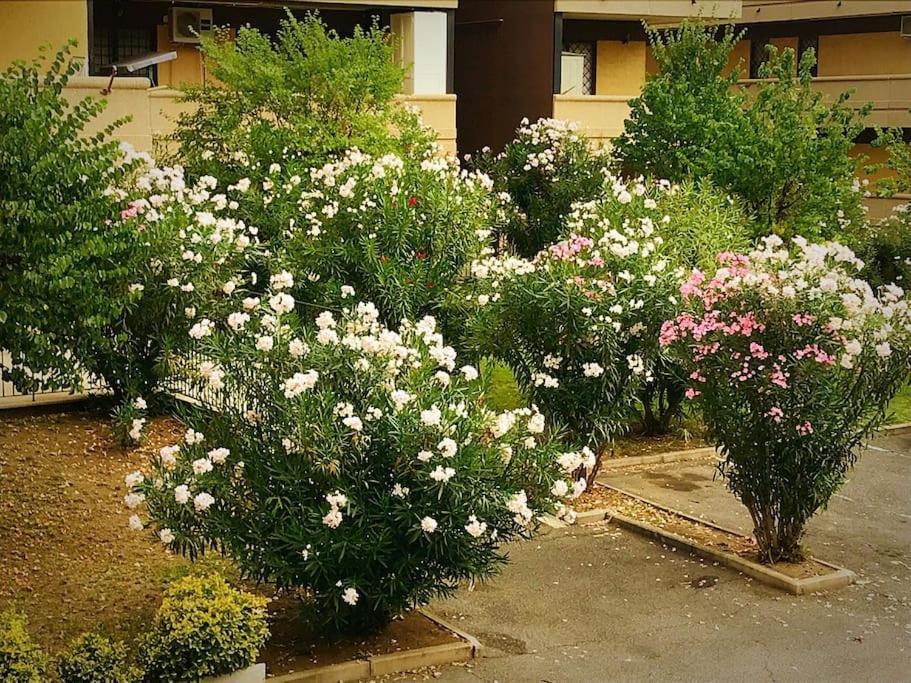 Apartment With Private Parking - Roma Est. Lunghezza Kültér fotó